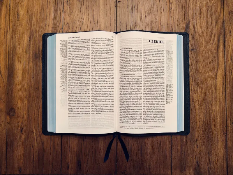 The Convenient Bible: How American Christians Have Learned to Read Around What They Cannot Bear to Obey
