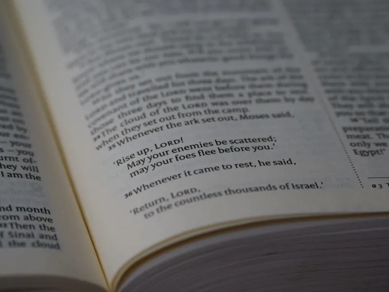 Twisted by Convenience: The Crisis of Reading the Bible to Confirm Rather Than Confront Us